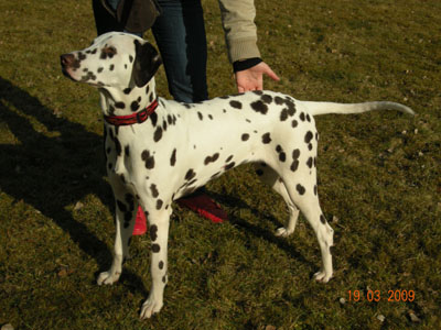 10.2.9 Joy herself-400