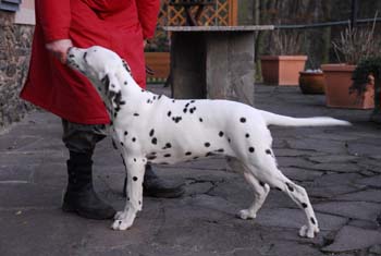 14-01-12-5 seitlich Terasse 350