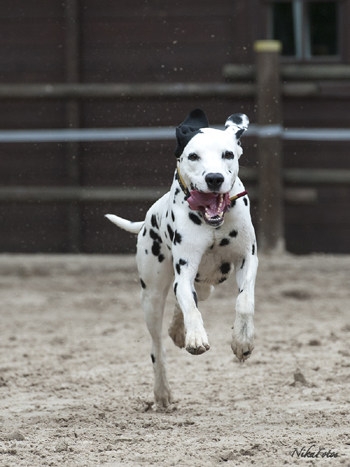 20120512_Andrea Wagner 350