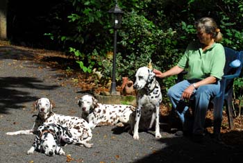 4 Weiber und ich 350