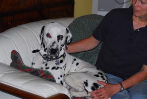 Askari Mamas Liebling02