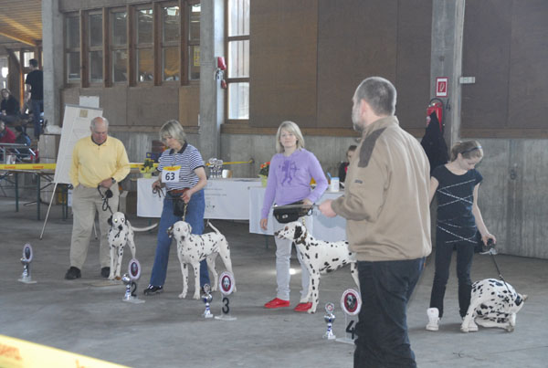Biebesheim 09 Siegerehrung-600