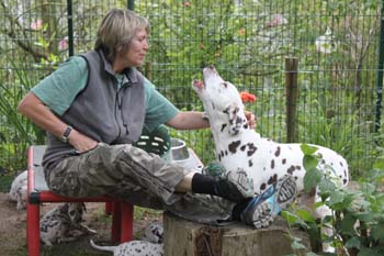 Bolero 07 2013-1 350