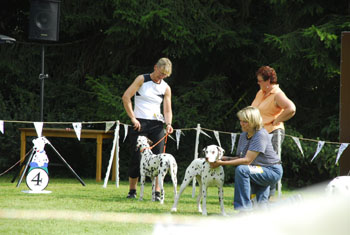 Calma Bren 09-7-HP-350