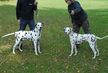 Calma u. Papa am 11-10-09-350