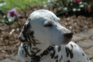 Feely 14 Jahre-03 HP-300