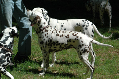 Hanne_11_Jahre-HP400