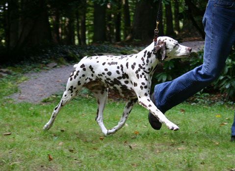 IMG_7840 Hanne Bewegungsknstler