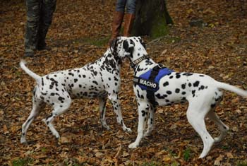 Rio + Queen 30-10-2011-350