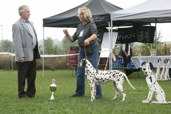 Vhringen 09-09-tagesbeste Hndin 350