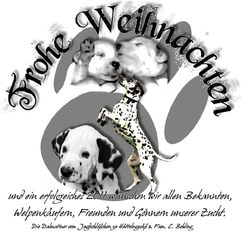 Weihnachten 2010-500