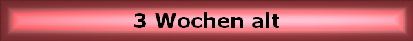 3 Wochen alt