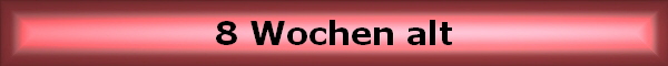 8 Wochen alt