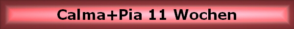 Calma+Pia 11 Wochen