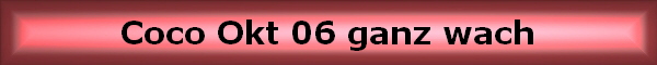 Coco Okt 06 ganz wach