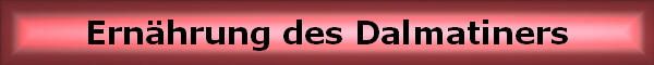 Ernhrung des Dalmatiners