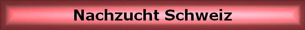 Nachzucht Schweiz