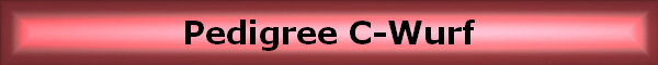 Pedigree C-Wurf Pedigree C-Wurf