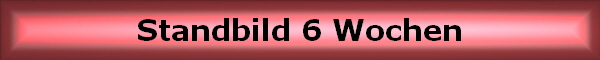 Standbild 6 Wochen