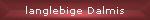 langlebige Dalmis
