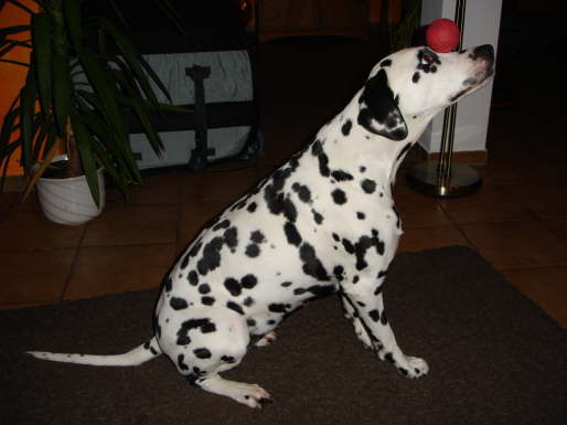 Baba mit Ball