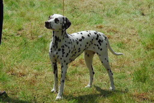 Lena Lostau 06-4