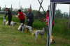 Lenau SG4 Lostau 06