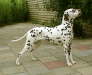 Gwynmor Lots of love