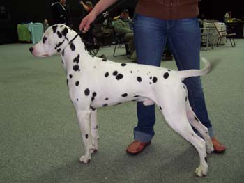 gera_2012_2.tag_eros__350